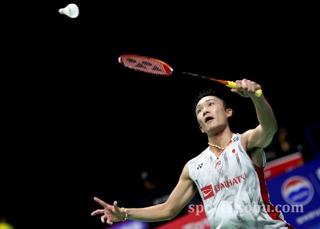 已经开始让 已经开始让