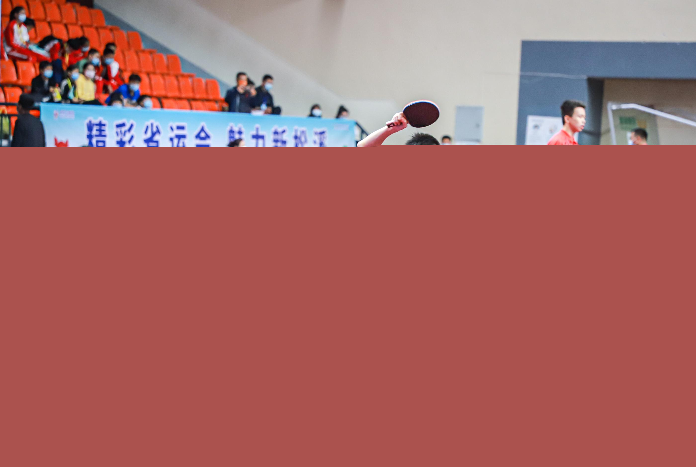 专家认为 专家认为